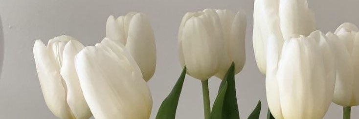 thefreshprincess 🪷 banner
