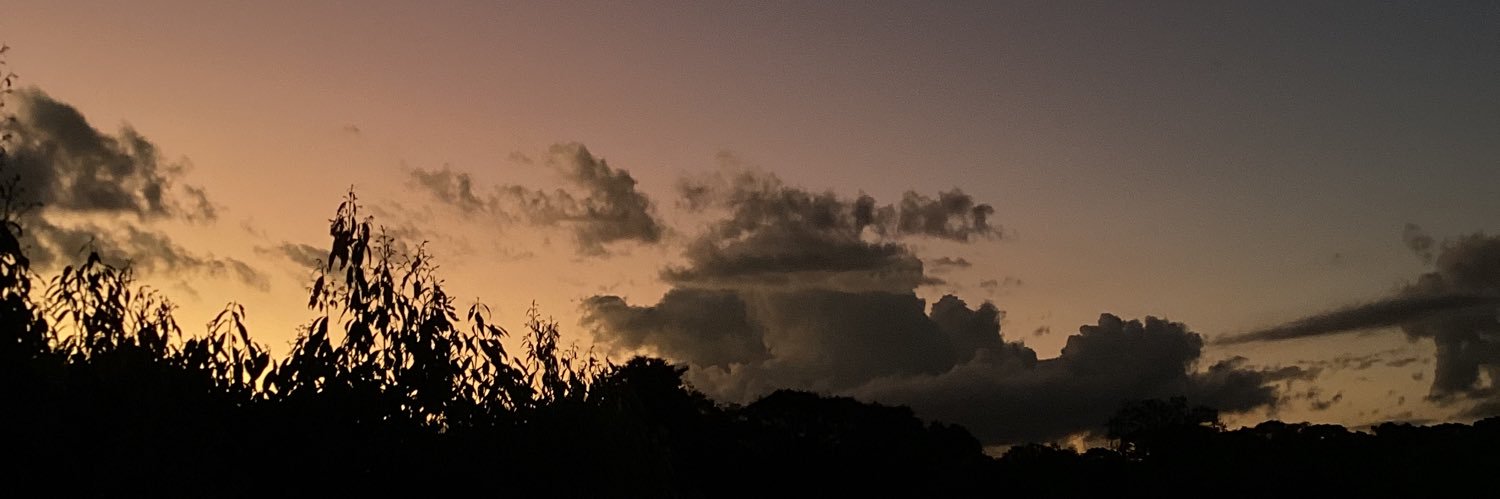 gasparingeise's profile banner image