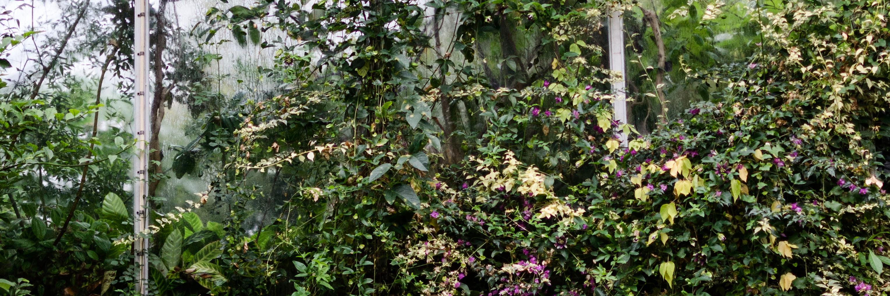 lizscheiner's profile banner image