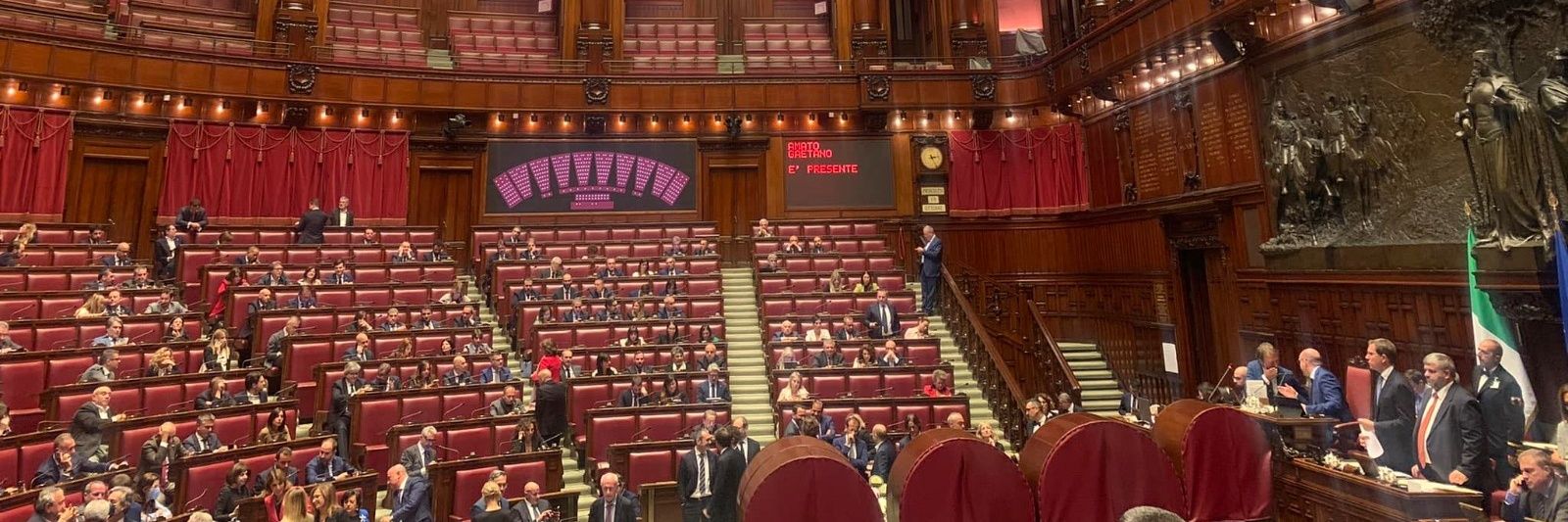 Antonella Forattini banner