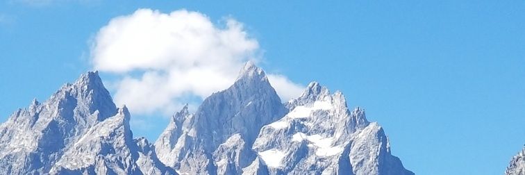 CryptoWinz banner