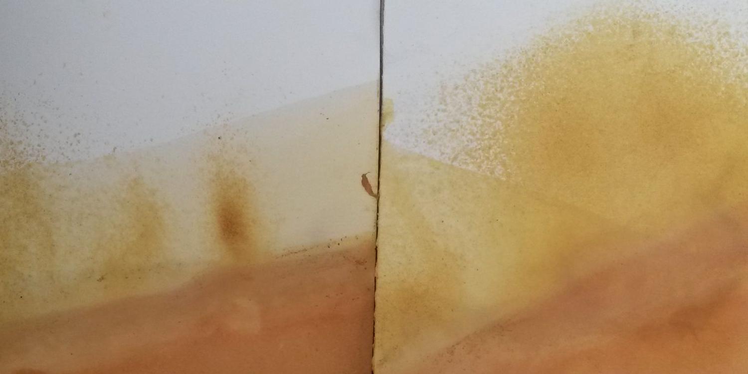 pknatuurkunst's profile banner image
