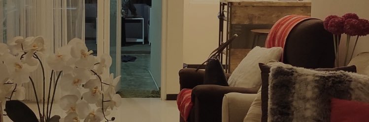 aninptr's profile banner image