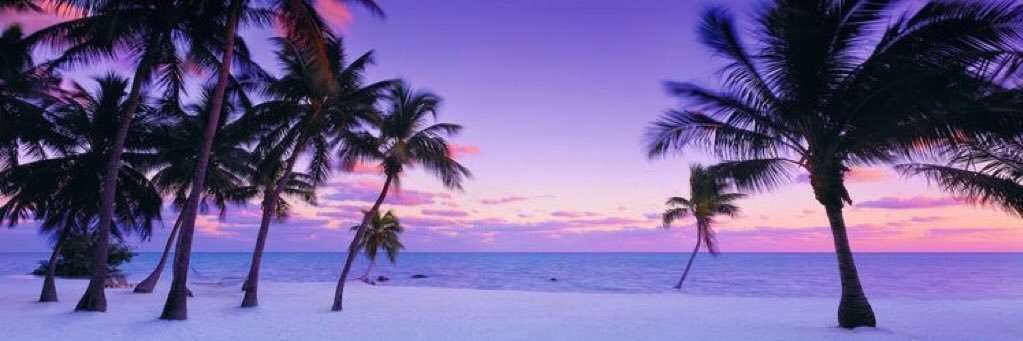 sharon_af's profile banner image