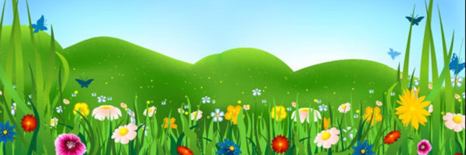 WookiwooBook's profile banner image