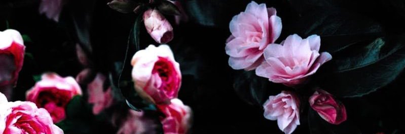Jim_MeNacko25's profile banner image