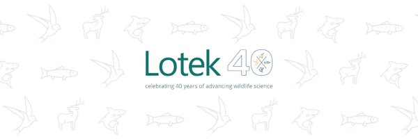 LotekWireless Profile Banner
