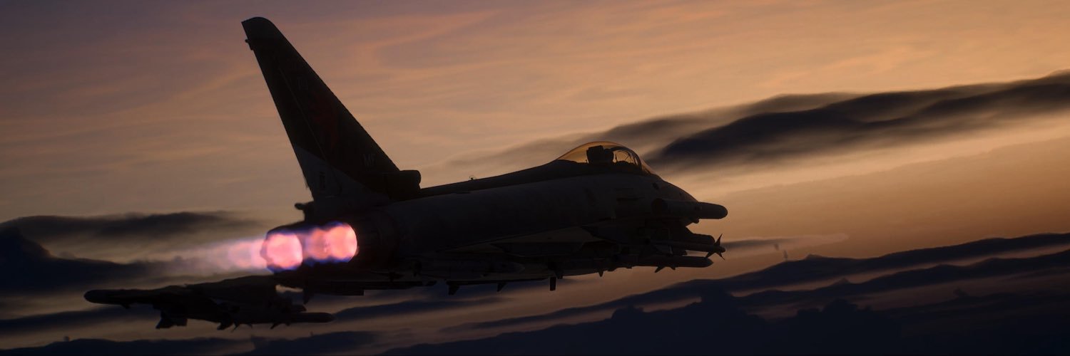 savagingdolphin's profile banner image