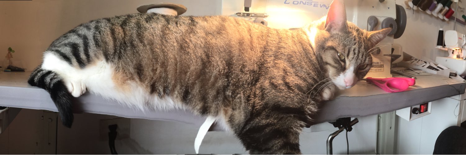 WinslowIsACat's profile banner image