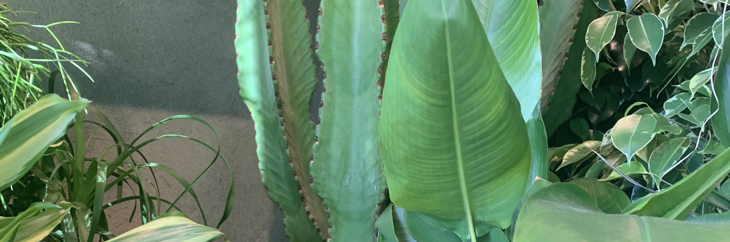 d0radontexplore's profile banner image