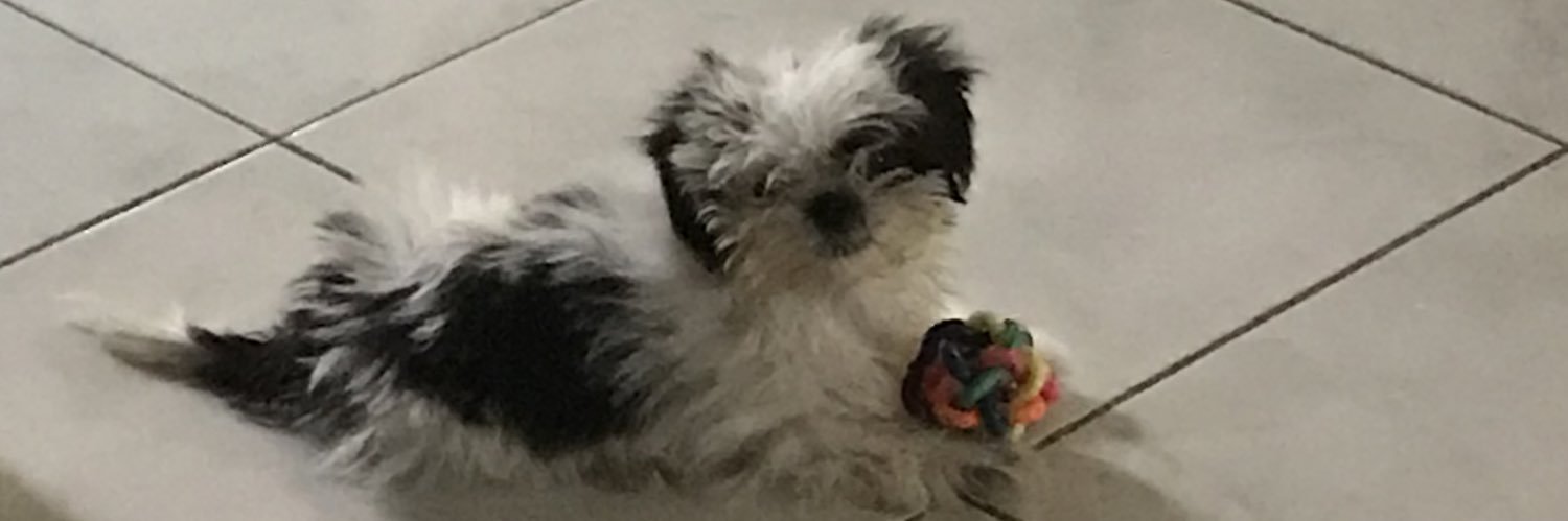 _raedizon's profile banner image