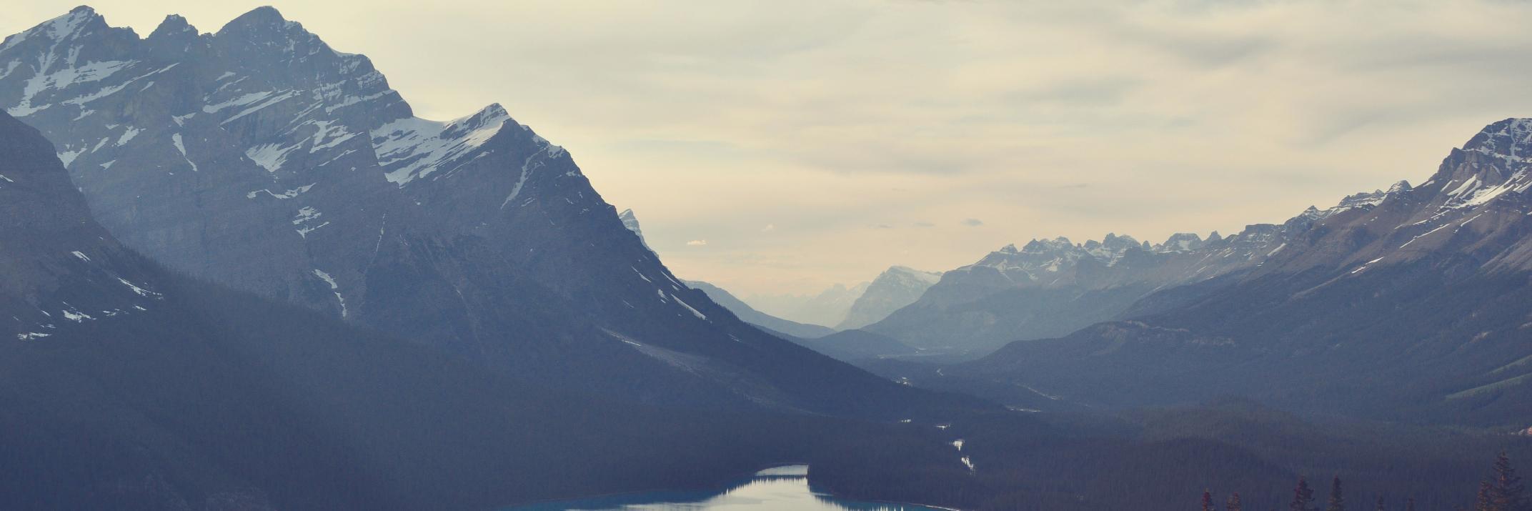 TheBluGiant's profile banner image