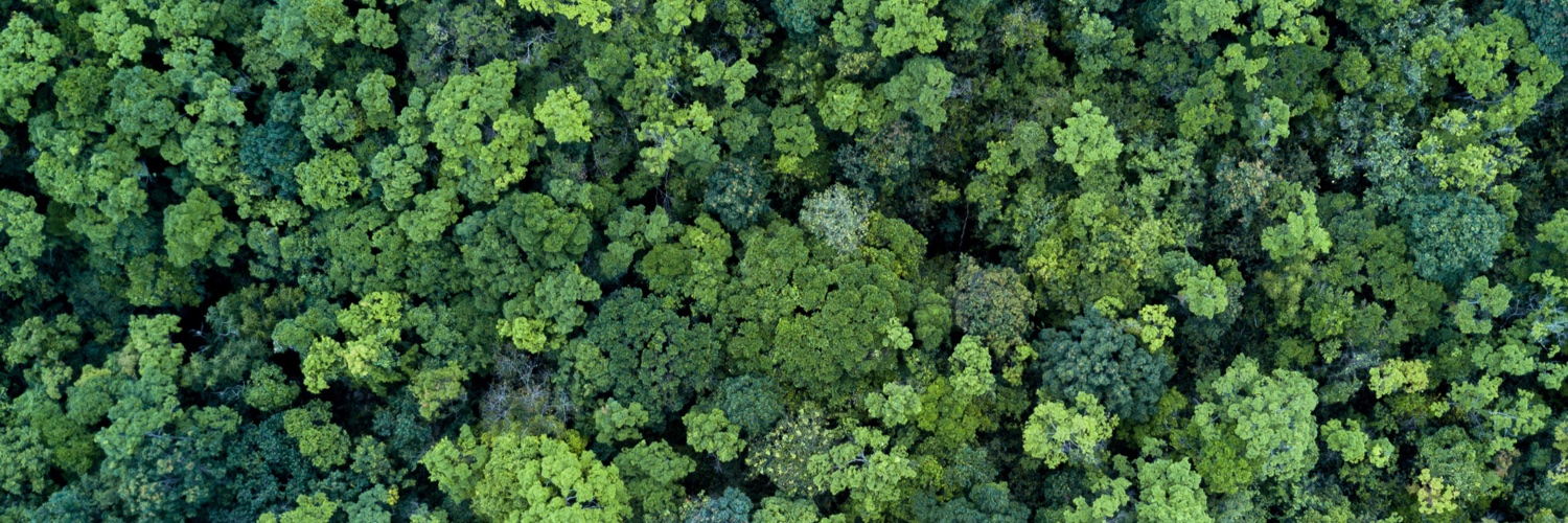 WhitefoxTechnologies banner