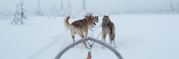 PelsinkAngelika Profile Banner