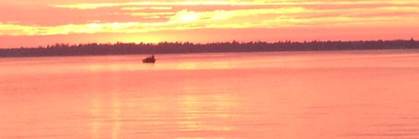 WhitneyWReports Profile Banner