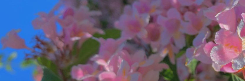 fyedine's profile banner image