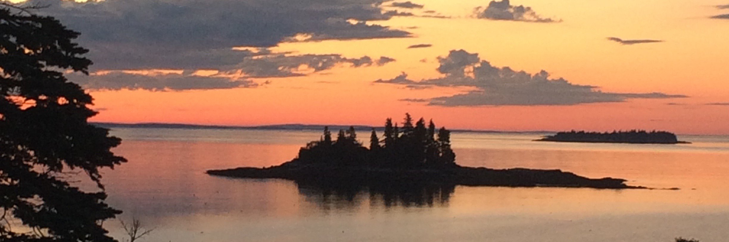 amy_cousens's profile banner image
