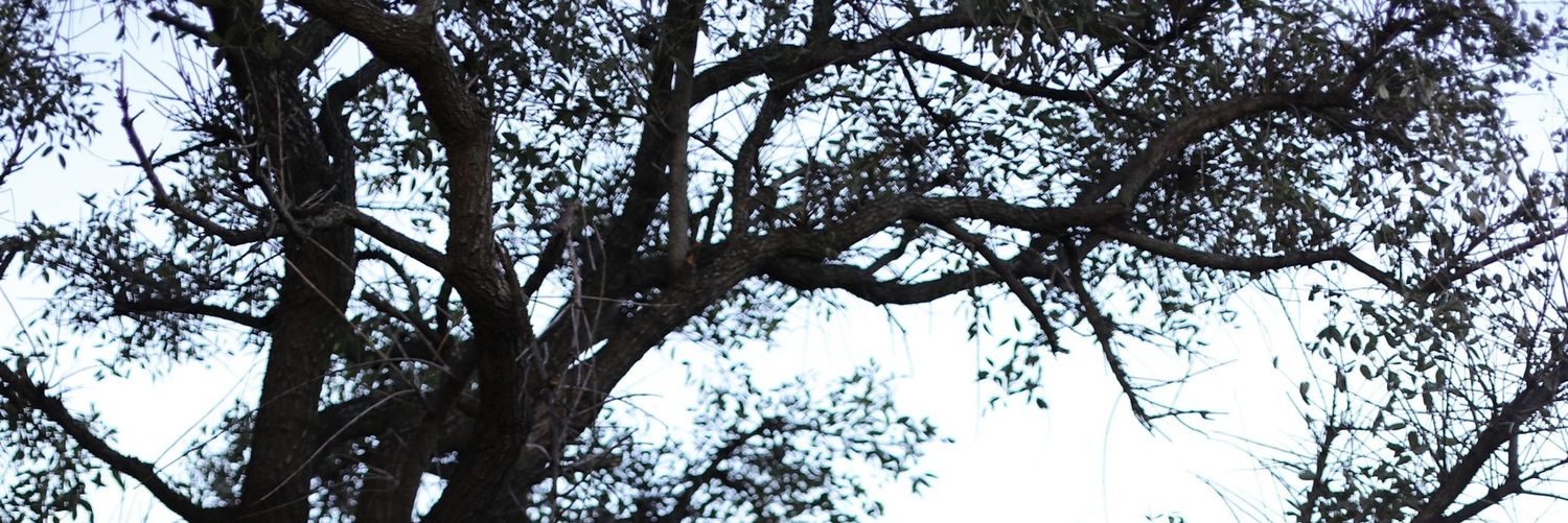DaniloX3's profile banner image