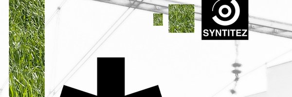 mesunjiditch Profile Banner