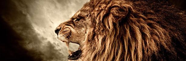 jgould8535's profile banner image