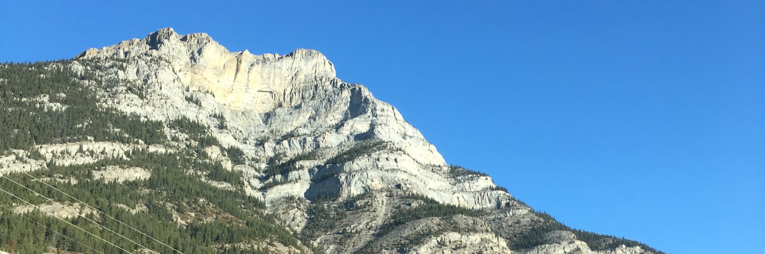 Julie Mueller banner