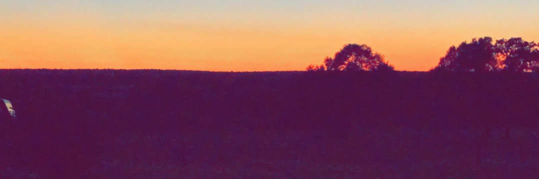 dlt_alex11's profile banner image