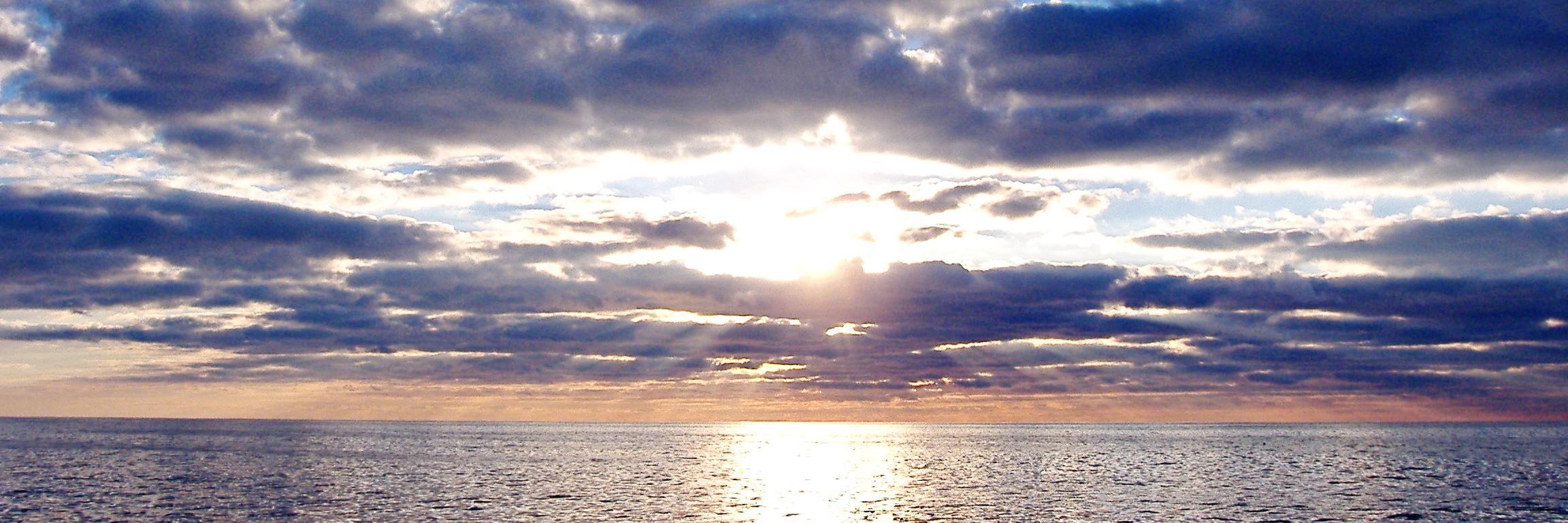 Northern Gulf Inst banner