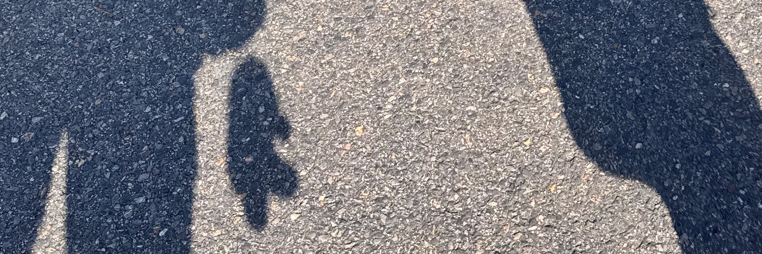 miinjj_'s profile banner image
