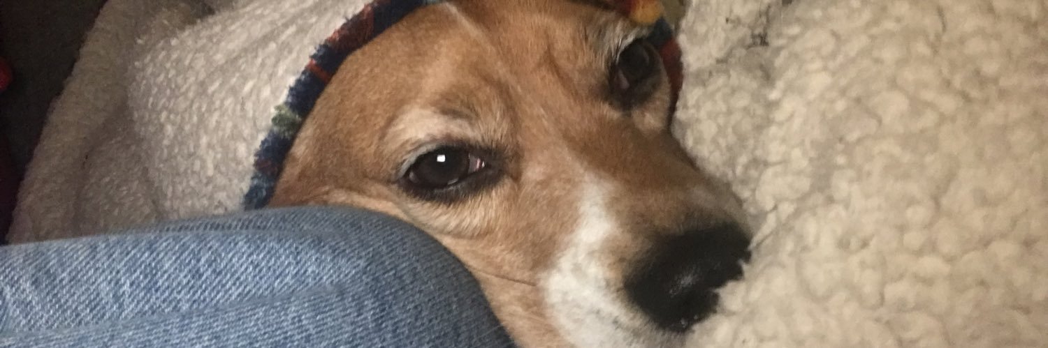 ADSikes's profile banner image