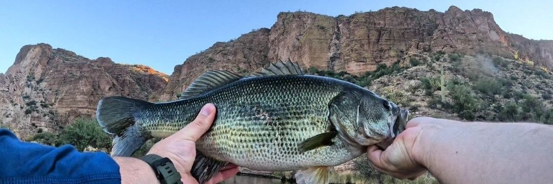 Altered_Angler's profile banner image