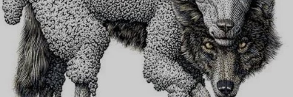 blskkkk's profile banner image