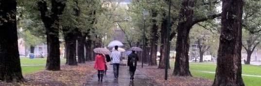 Dr.Hind Hamad Alotabi banner