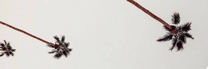 JustnTitus's profile banner image
