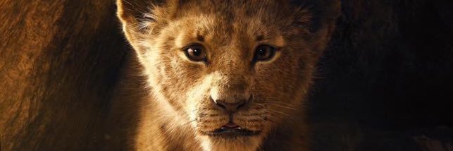 firenanzz's profile banner image