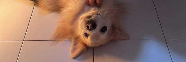 Haze_pgLeo Profile Banner