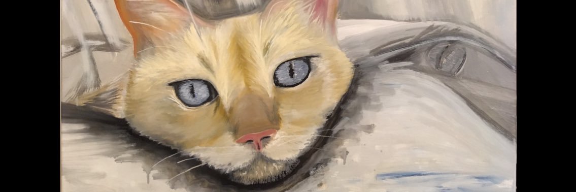KollPablo's profile banner image