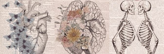 RebecaBrenda4's profile banner image