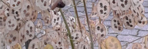 giovdall Profile Banner