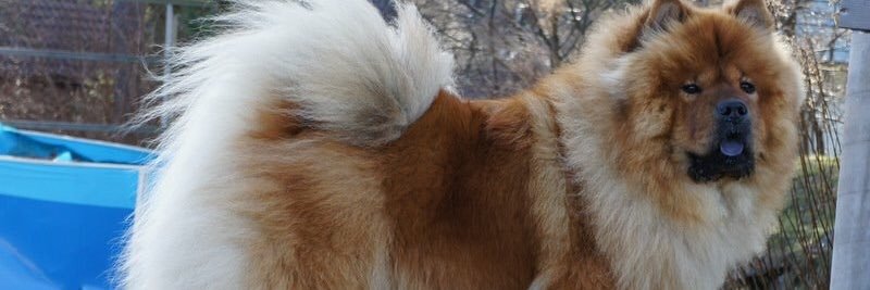 minimorsan's profile banner image