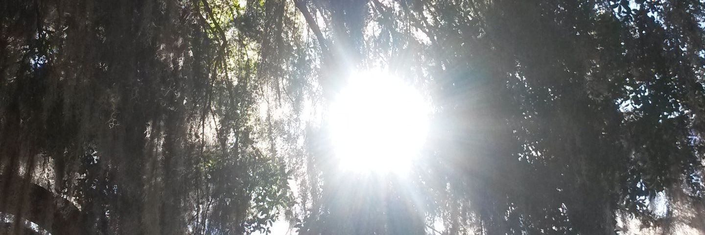 starluv29's profile banner image