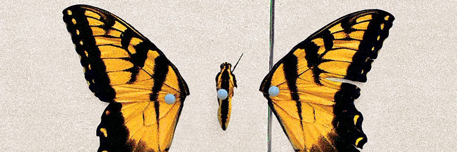 leonardo banner
