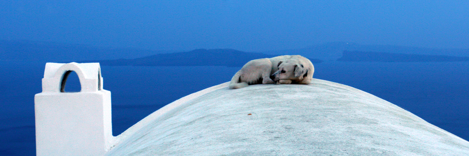 Rebecca Levitan banner