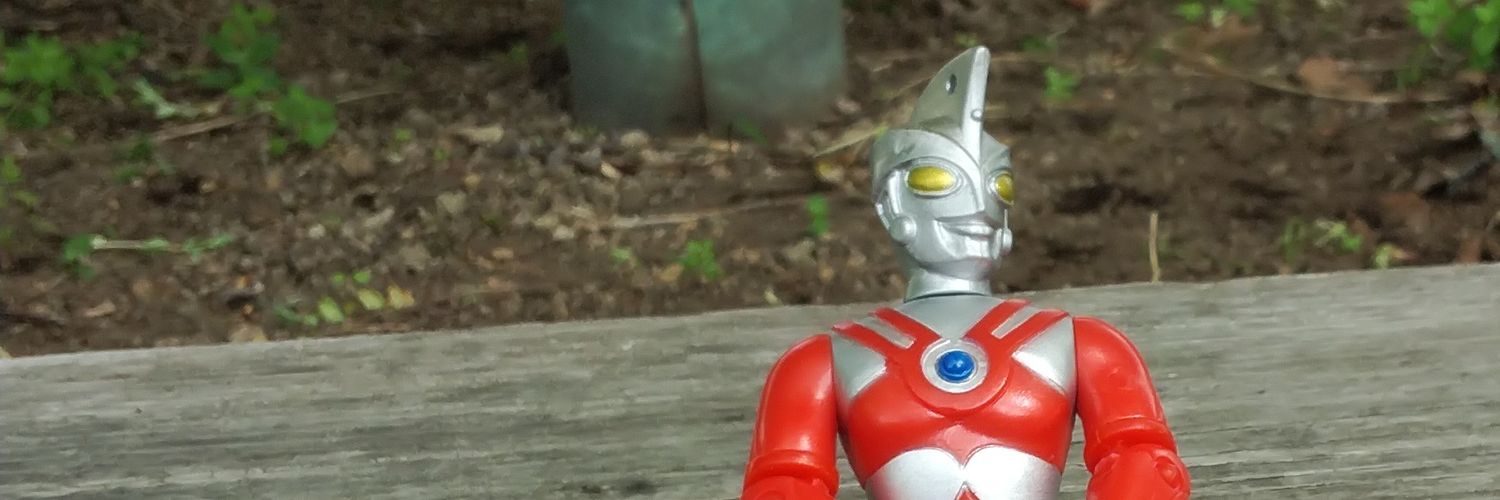 silvermira2's profile banner image