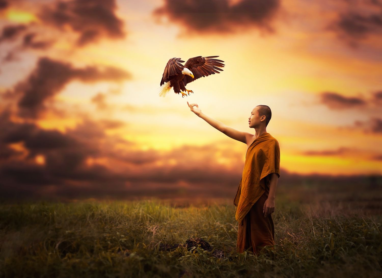 Yo' Step Daddy 🤓 banner