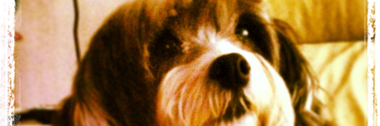 sergio Lula Livre banner