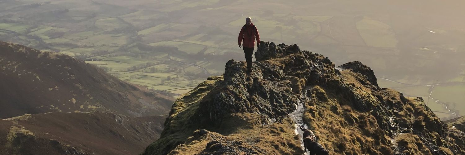 (Not) Posh Dave banner