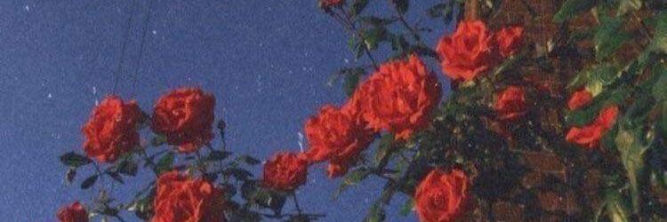 KingKuma93's profile banner image