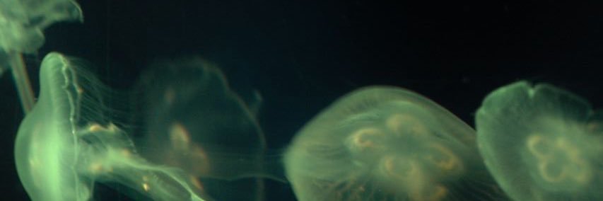 Deep_kred's profile banner image