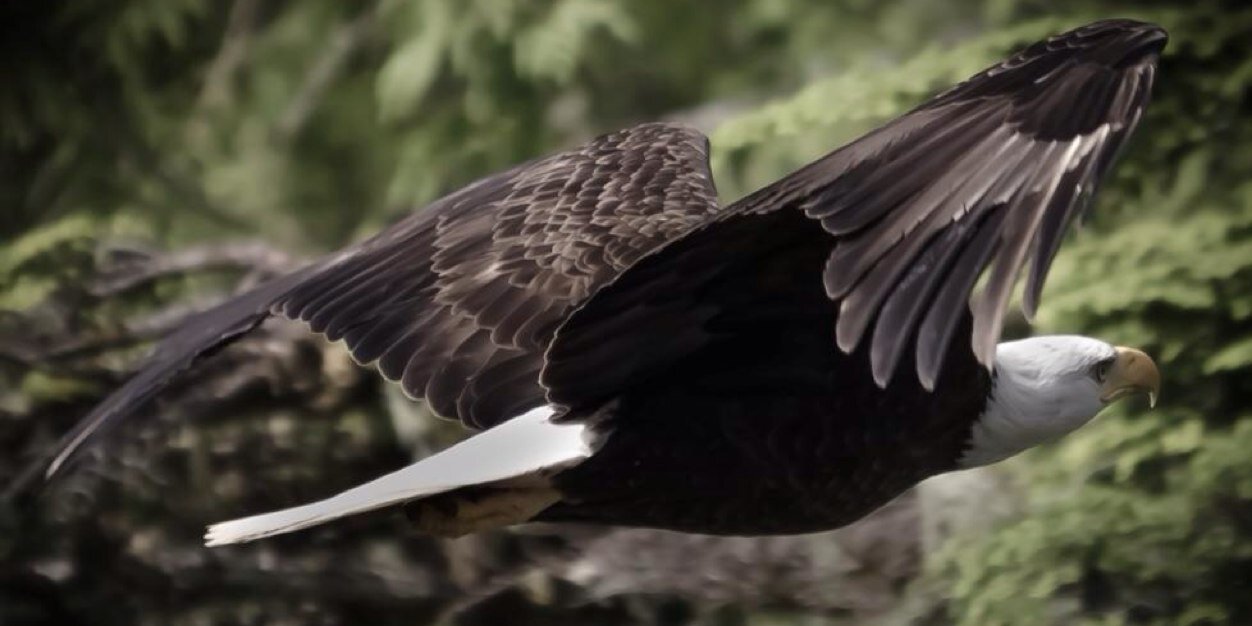 RichHall_42's profile banner image