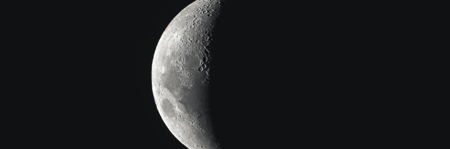 Luigi Pellecchia banner